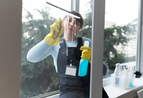 Nettoyage de vitres intérieures et extérieures à Puyoô
